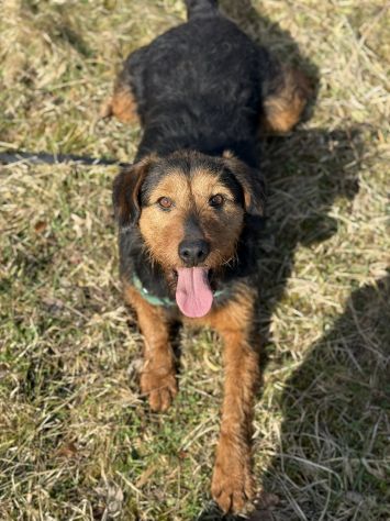 TARO, baffone dalla bontà sconfinata! - Foto 6