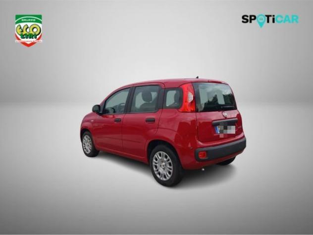 FIAT Panda 1.0 FireFly S&S Hybrid+GPL rif. 24175533 - Foto 7