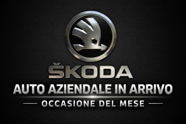 Škoda Karoq Be More 2,0 TDI 110 kW (150 CV) 7 marce - DSG