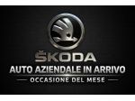 Škoda Karoq Be More 2,0 TDI 110 kW (150 CV) 7 marce - DSG