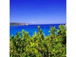 Nelema Bay Arcomagno