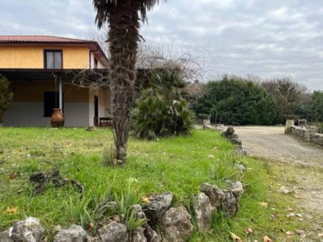 Immobile in asta di 1015 m² in vendita a Arce - Foto 2
