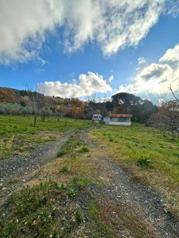 Terreno agricolo in vendita a Castellina Marittima 2000 mq Rif: 1386396