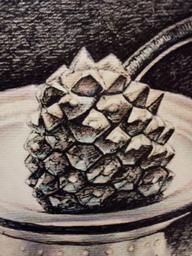 Illustratore - Foto 3