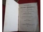 G. Strambio - Trattato elementare di anatomia descrittiva - 1866