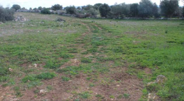 Immobile in asta di 494 m² in vendita a Noto - Foto 5