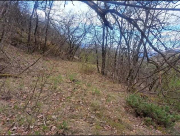 Immobile in asta di 2377 m² in vendita a Rovereto - Foto 5