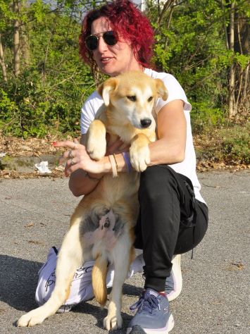 BOREK E BARNEY, 5 MESI (20/11/25), TAGLIA MEDIA, ABBANDONATI IN UNA SCATOLA - Foto 3