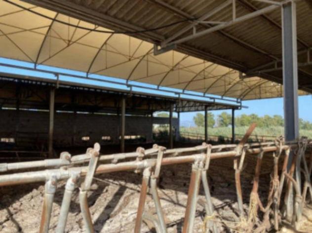 Immobile in asta di 361 m² in vendita a Latina - Foto 5