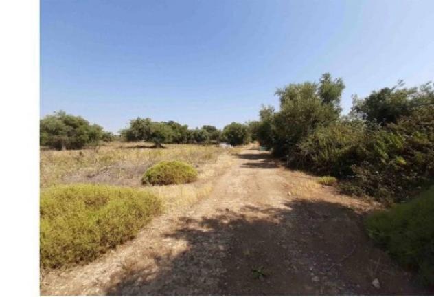Immobile in asta di 65302 m² in vendita a Melilli - Foto 8