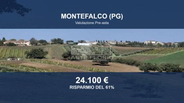Immobile in asta di 46600 m² in vendita a Montefalco