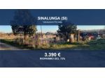 Immobile in asta di 7605 m² in vendita a Sinalunga