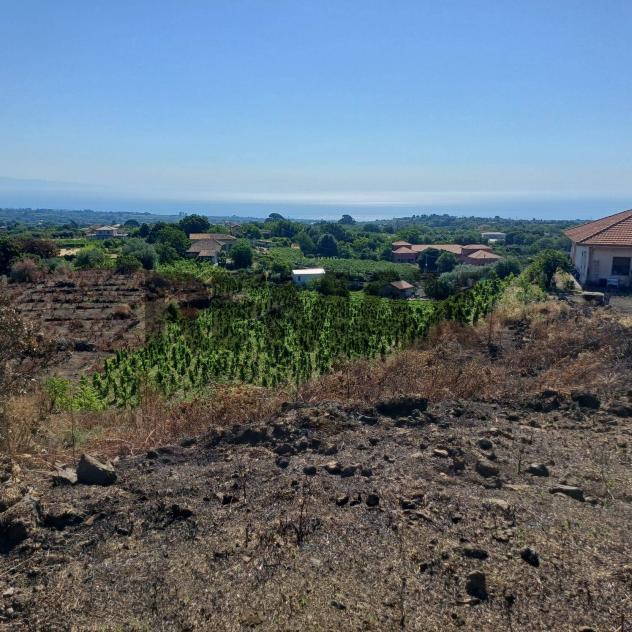 Terreno in vendita a Zafferana Etnea, Pisano - Foto 12