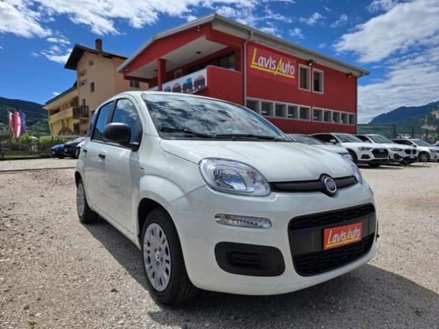 FIAT Pandina 1.0 FireFly S&S Hybrid Icon rif. 23935538