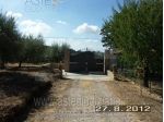 IMMOBILI-IMMOBILE RESIDENZIALE-Via di Casale Malatesta