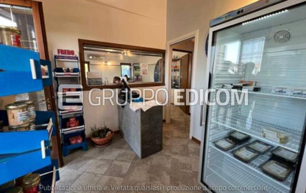 Laboratori per arti e mestieri in vendita a Zevio - Rif. 4562984 - Foto 7