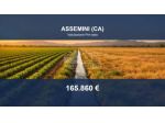 Immobile in asta di 9931 m² in vendita a Assemini