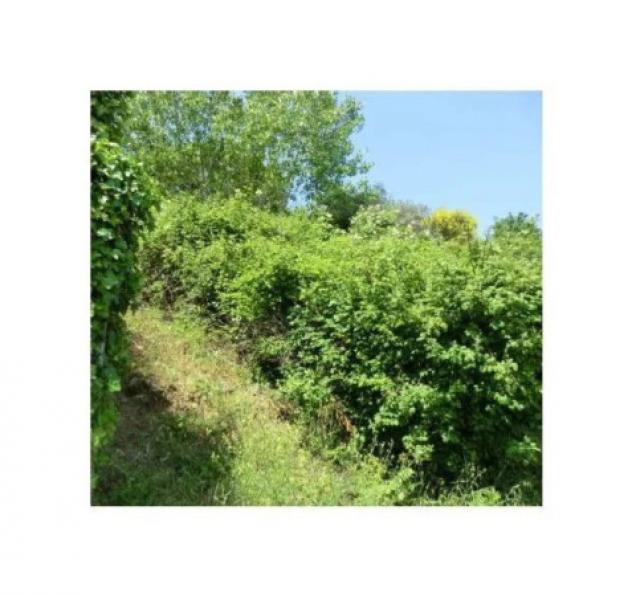 Immobile in asta di 640 m² in vendita a Bettona - Foto 2