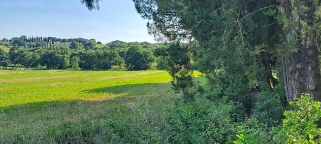 Vendita Rustico casale da 680 mq con giardino - Foto 4