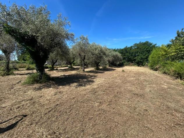 Terreno edif. residenziale in vendita a Luni 770 mq Rif: 1427937 - Foto 7