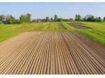 Terreno agricolo in vendita a Pisa 2350 mq  Rif: 1296119