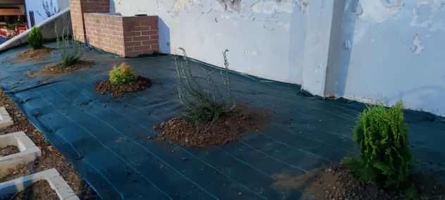 Pulizia e cura del verde - Foto 3