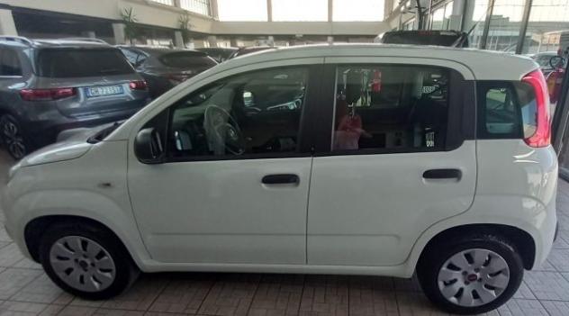 FIAT Panda 1.2 POP rif. 23888024 - Foto 2