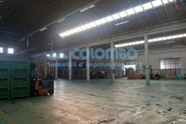 Immobile di 6100 m² con 5 locali in vendita a Castelcovati - Foto 13