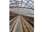 Azienda agricola - Rif. 130