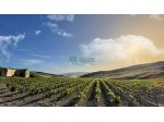 Rif. 9886 - Casale con vista mare a Licata