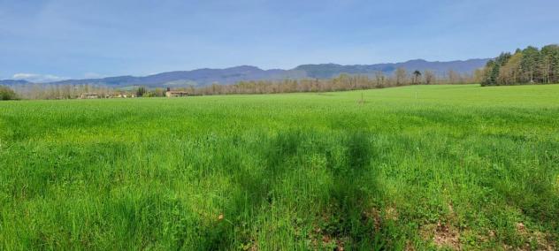 TERRENO AGRICOLO di 130000 mq (SCARPERIA E SAN PIERO - SCARPERIA) rif. AAI788 - Foto 5