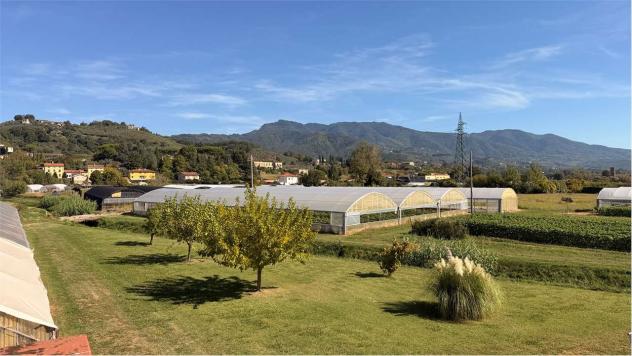Fattoria LUCCA - Lucca, Moriano – Ampia Proprietà Agricola con Casale, Capanna e 1,6 Ettari di Terreno - Foto 20