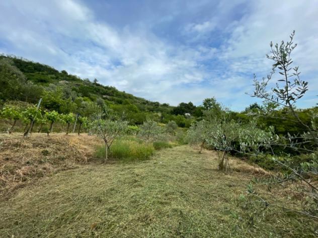 Agricolo in Via Madonna delle Vigne - Foto 2