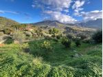 Agricolo in Via San Biagio