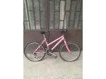 bicicletta ragazzo-ragazza