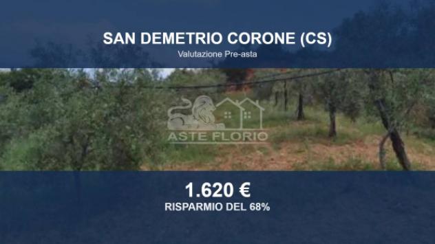 Immobile in asta di 2800 m² in vendita a San Demetrio Corone
