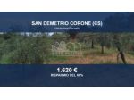 Immobile in asta di 2800 m² in vendita a San Demetrio Corone