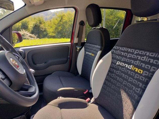 FIAT Pandina Pandina Cross 1.0 firefly hybrid s&s 65cv Red Edition GPL!! - Foto 9