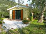 Fienile in vendita a Asciano - San Giuliano Terme 65 mq  Rif: 551031