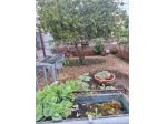 Appartamento in vendita a Coroncina - Siena 73 mq  Rif: 1440142