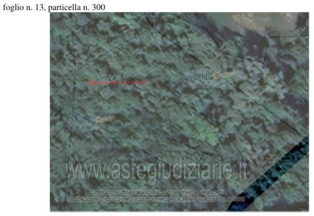 IMMOBILI-ALTRA CATEGORIA-Località Ca' Zemprino e località Case Gasperoni - Foto 2