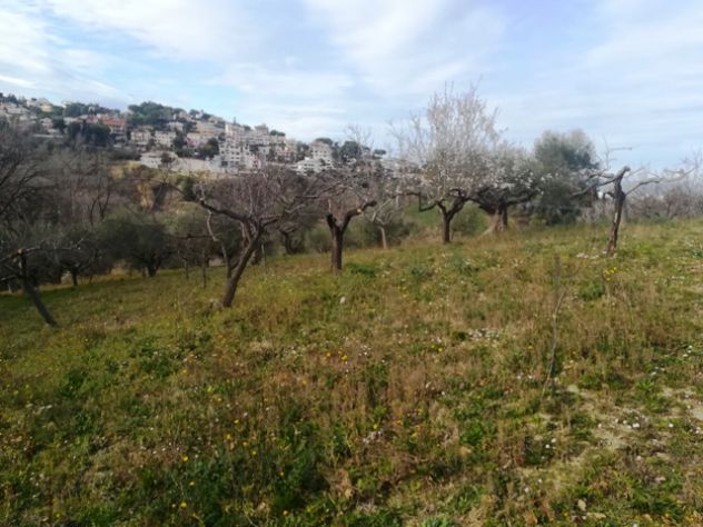 Pescara Terreno Agricolo con 2 Fabbricati - Foto 2