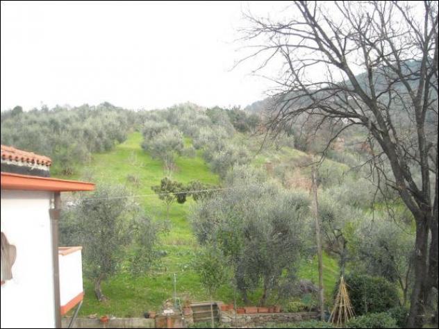 Trifamiliare in vendita a Monsummano Terme - Foto 9
