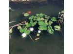 Bed & Breakfast Le Stelline