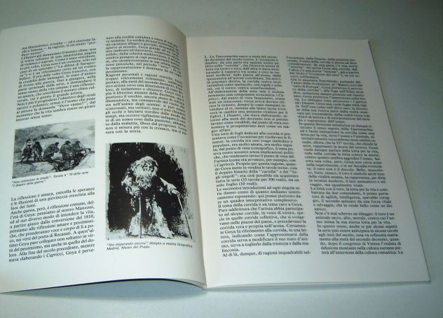 Goya - La Tauromachia e le Follie - Foto 2