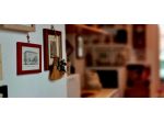 Bright & Cozy Flat in Via Arienti - Bologna
