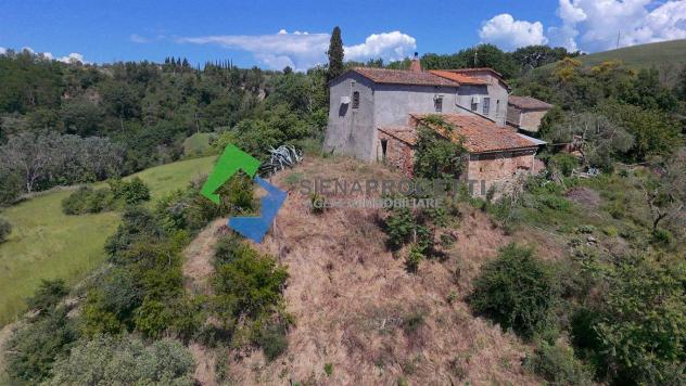 Splendido casale indipendente alle porte di Asciano, nelle crete senesi, Toscana. - Foto 17