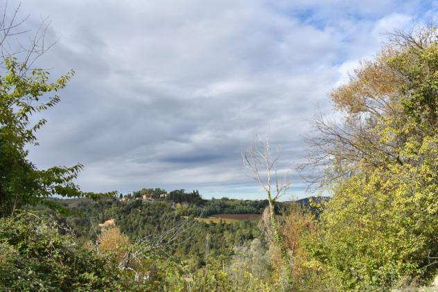 COLONICA di 7 vani e di 550 mq (MONTAIONE) rif. M 200 - Foto 3
