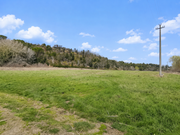 Terreno agricolo in vendita a Palaia 21620 mq Rif: 961920