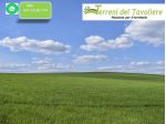 Terreno agricololo seminativo San Severo - località Spiavento